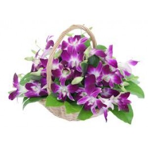 Orchids Handle Basket