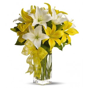 White and Yellow Lilies